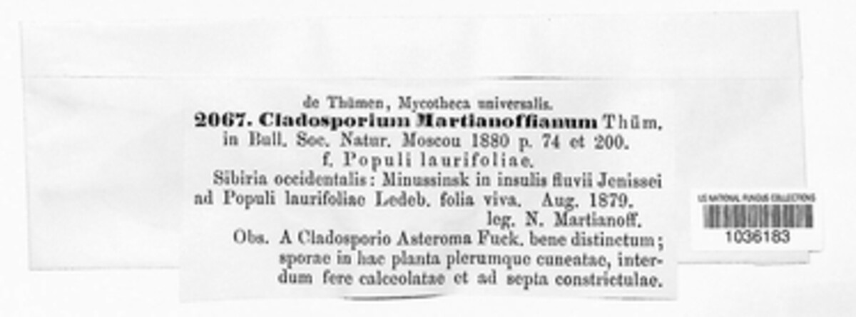 Venturia martianoffiana image